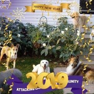 Meet your Posher, Annette